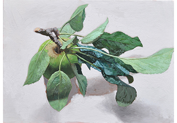 西房浩二　初夏