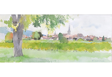 西房浩二　収穫の頃